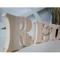 Lettres en bois formant le mot "Retro" posées devant une plante.