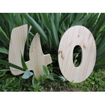 Premières lettres de l'alphabet en bois de pin posées dans l'herbe